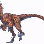 deinonychus foot