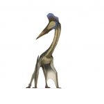 pterosaur 30