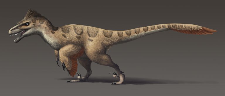 utahraptor real