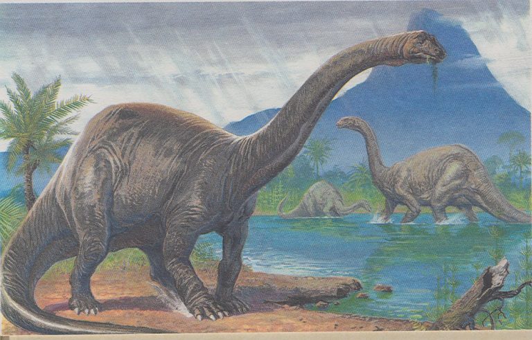 Brontosaurus Facts, Size, Fossil & Skeleton, With Pictures