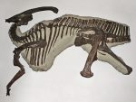 parasaurolophus fossils and archeology