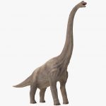 Brachiosaurus Facts, Etymology, Behavior, Characteristics And Adaptation