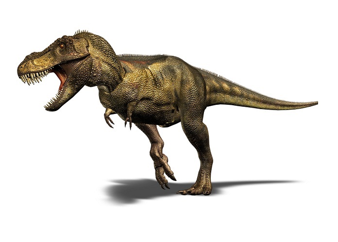 picture of t rex dinosaur