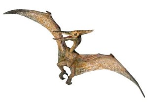 types of pterodactyls