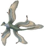 Microraptor Facts, Pictures, Discovery, Adaptation and Behavior