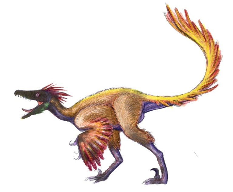 Troodon Facts, Habitat, Images, Adaptation and Behavior