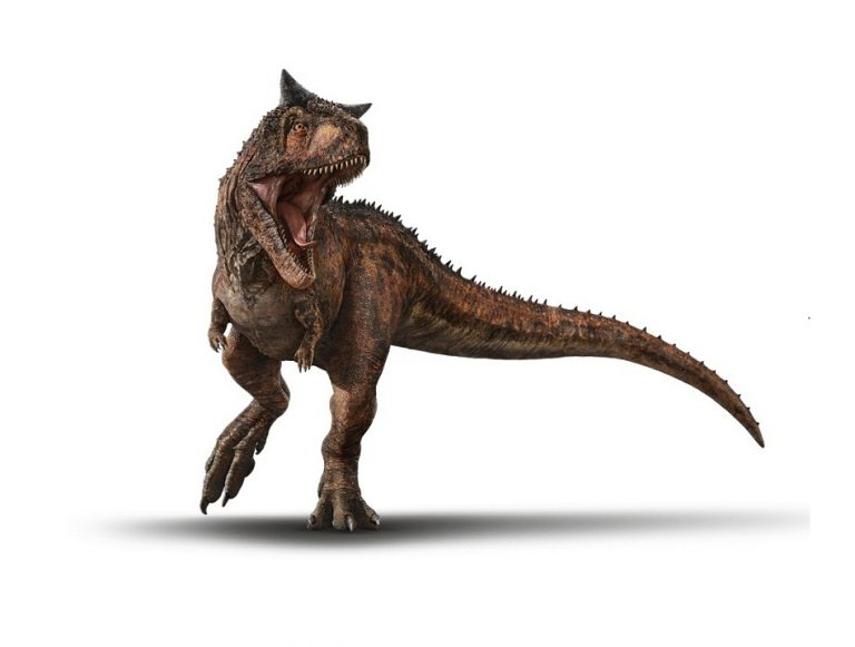 carnotaurus discovery