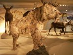 Smilodon Facts, Habitat, Diet, Fossils, Pictures