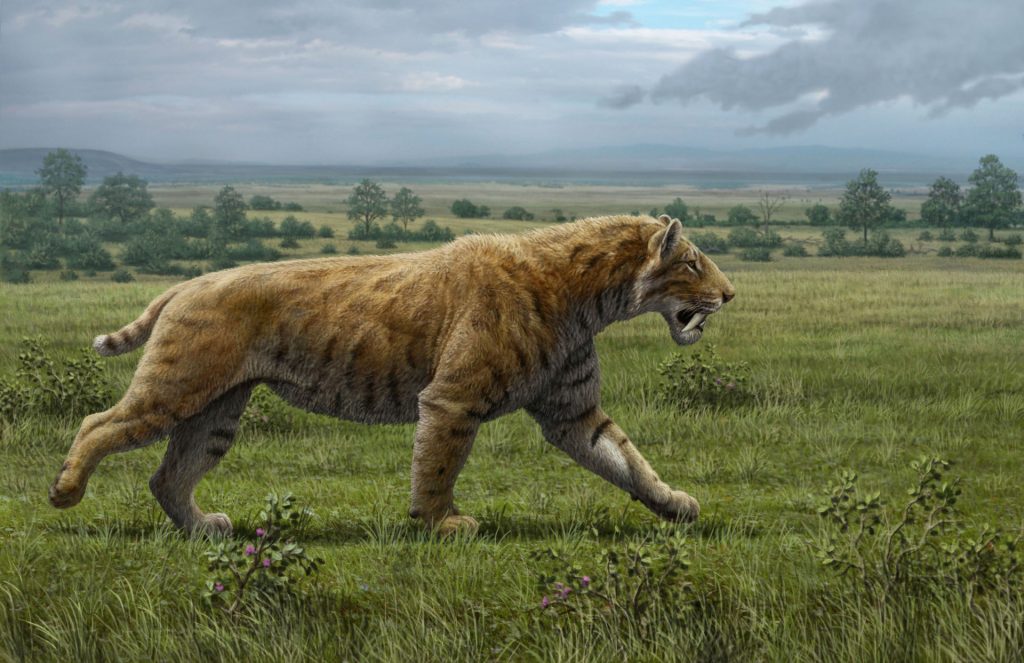 wild republic smilodon