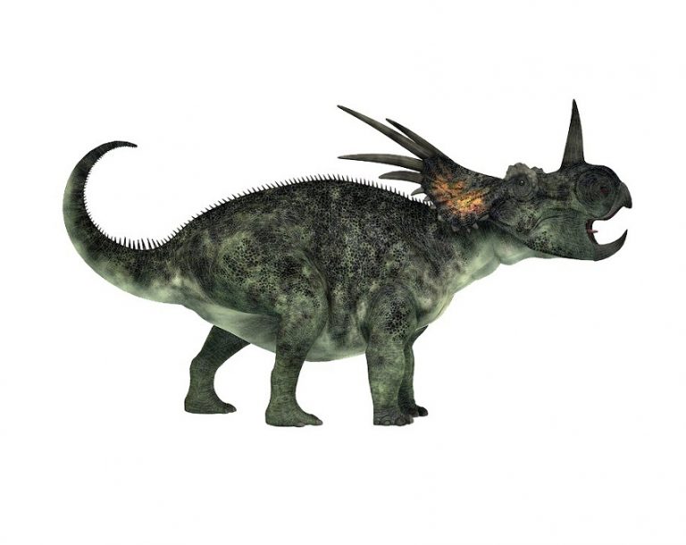 Styracosaurus Facts, Habitat, Diet, Fossils, Pictures