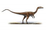 Coelophysis Facts, Habitat, Diet, Fossils, Pictures