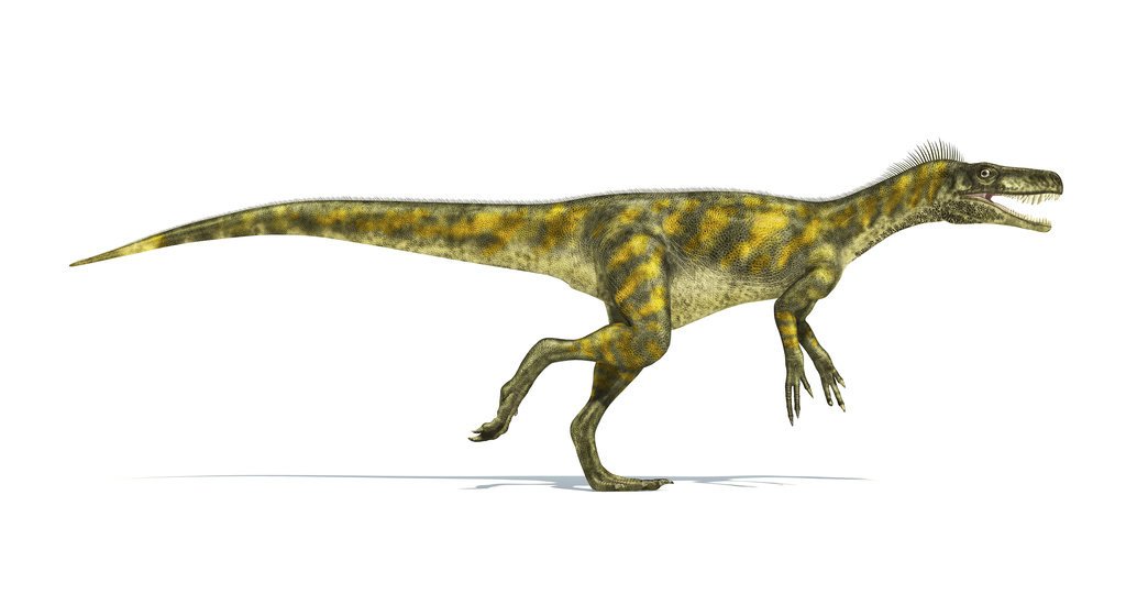 jwe herrerasaurus