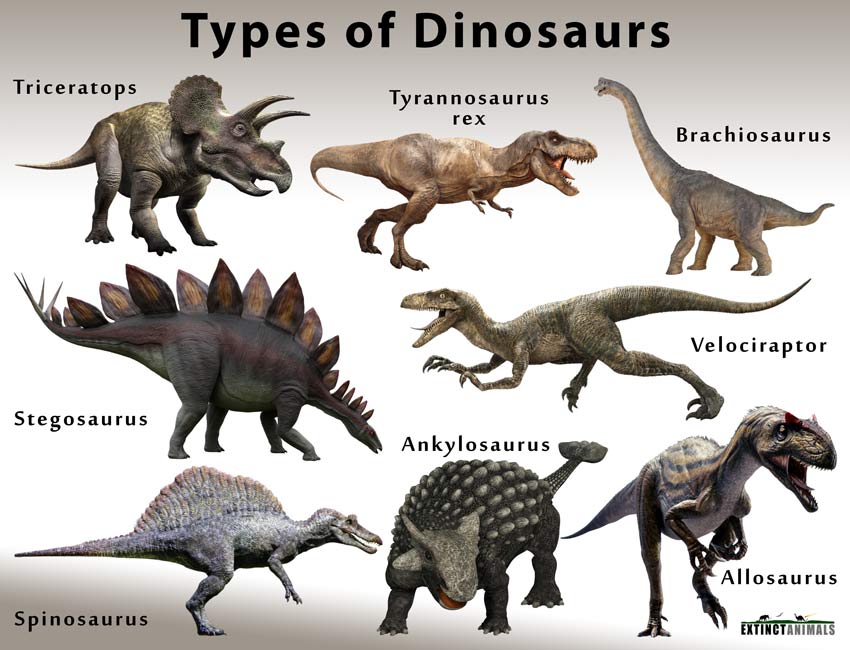 Фото динозавров с названиями на русском языке фото