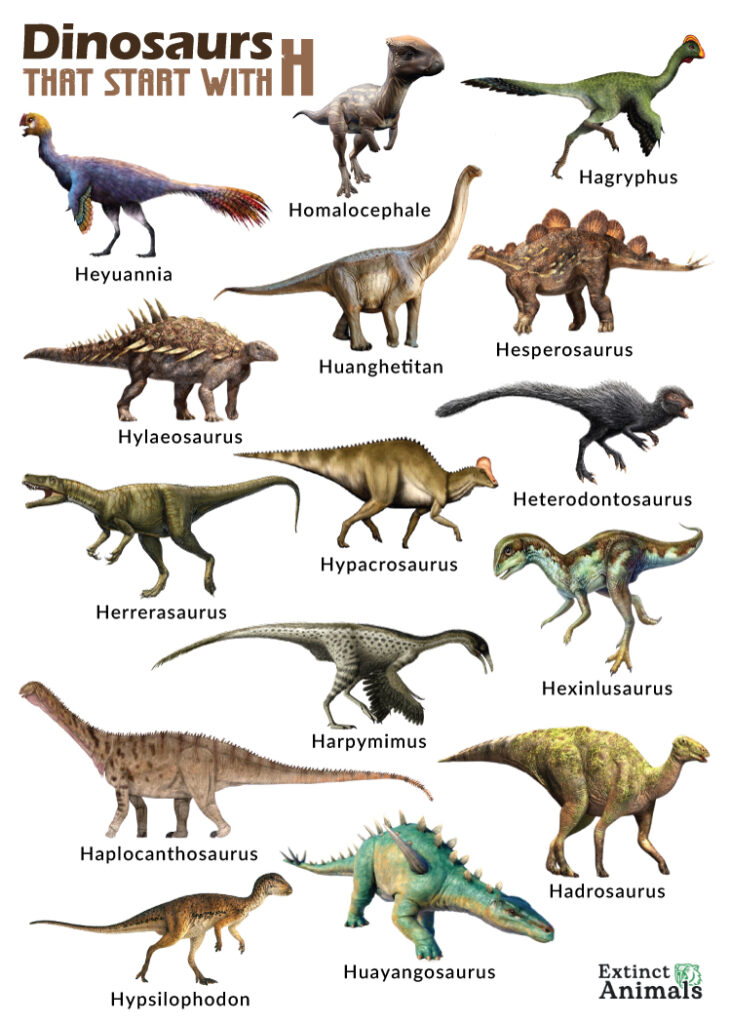 Dinosaurs that Start with H