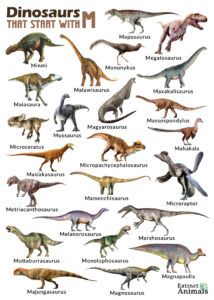 Dinosaurs That Start With M