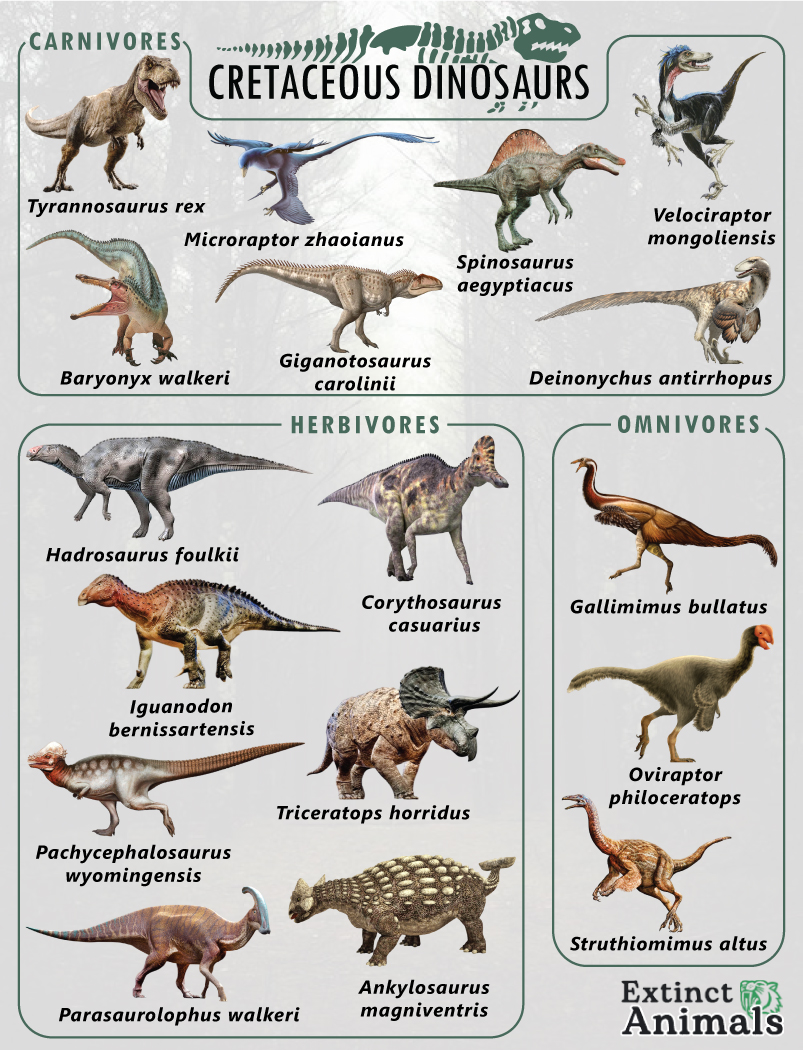 cretaceous period animals