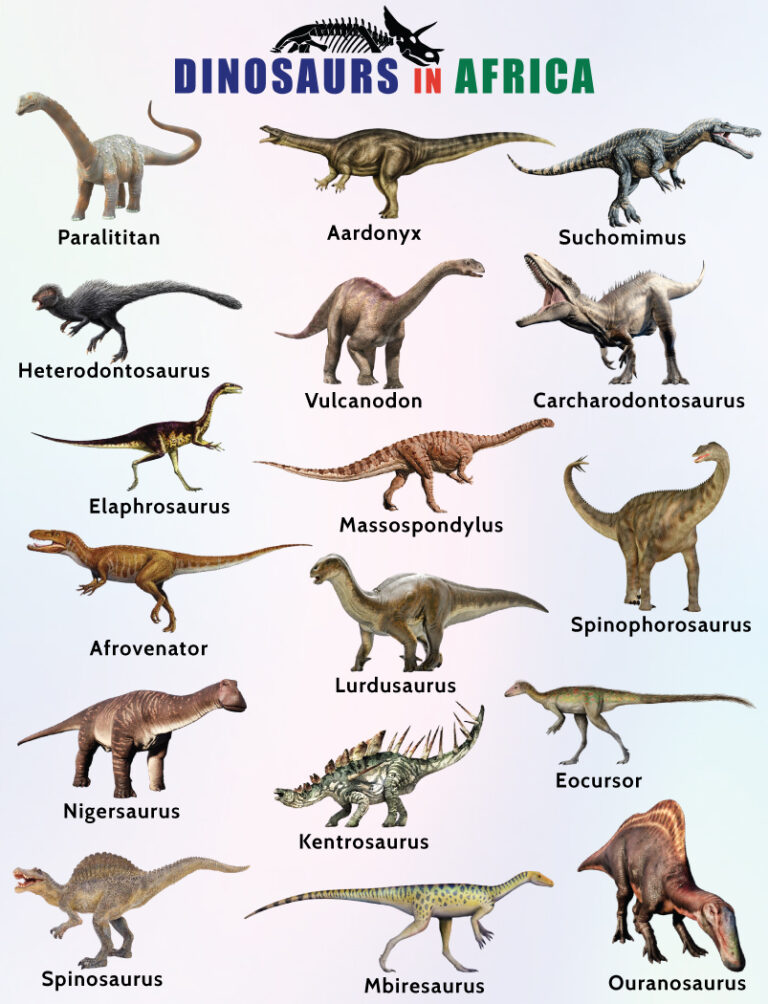 List of Dinosaurs in Africa - Facts with Pictures