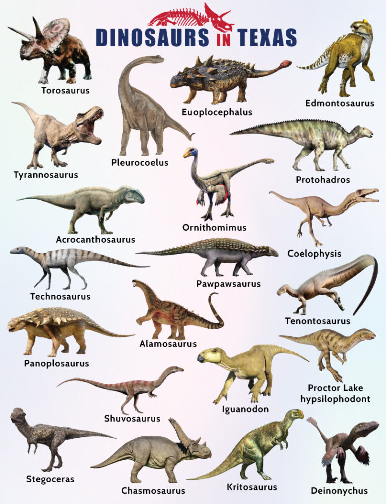 List of Dinosaurs in Texas - Facts with Pictures