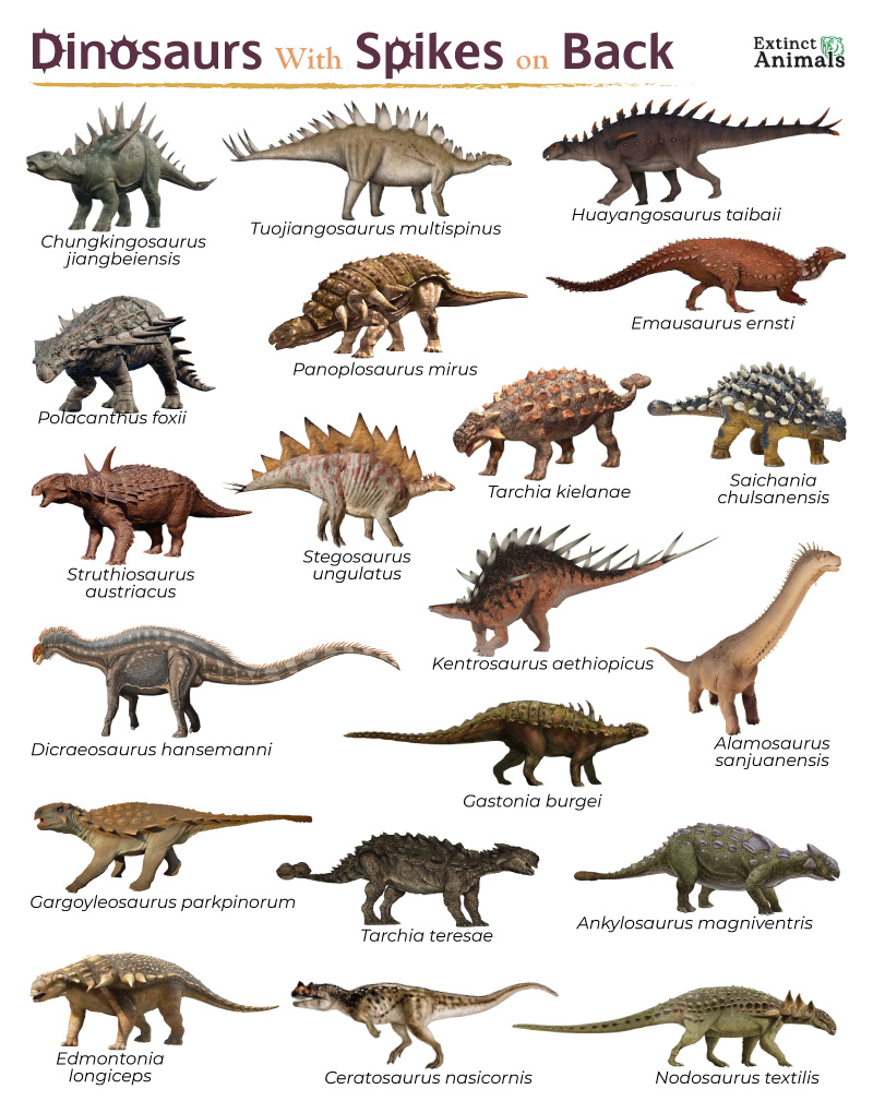 Dinosaurs With Spikes on Back – Facts, List, Pictures