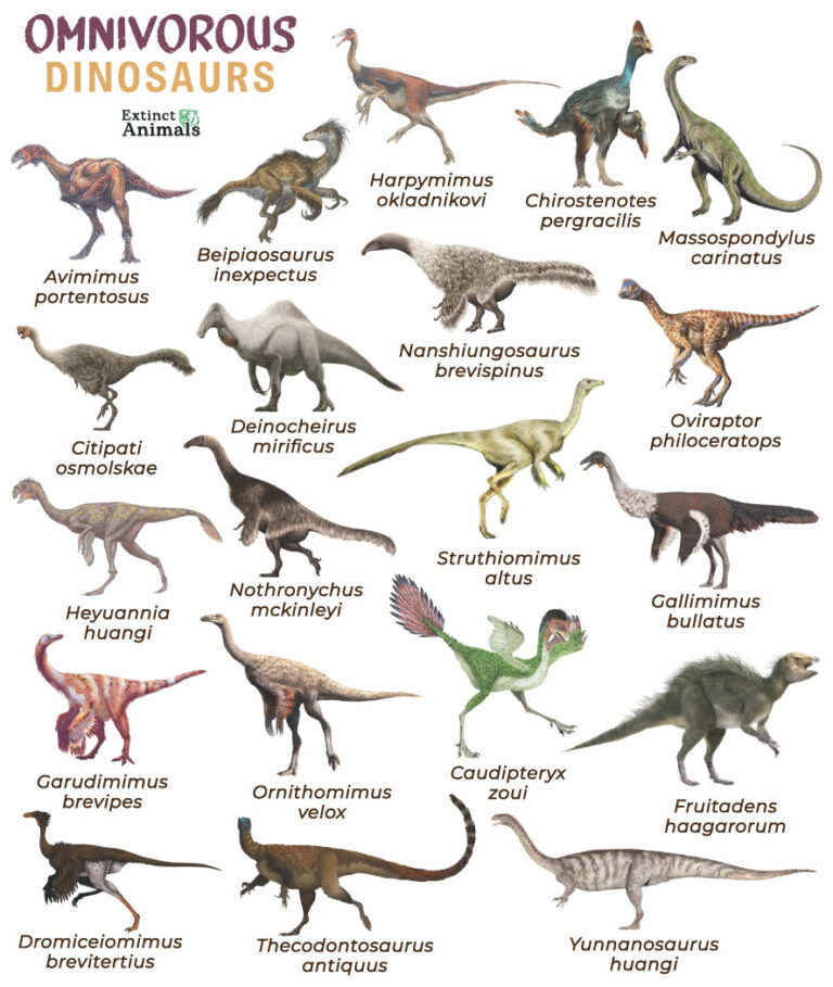 Omnivorous Dinosaurs – Facts, List, Pictures