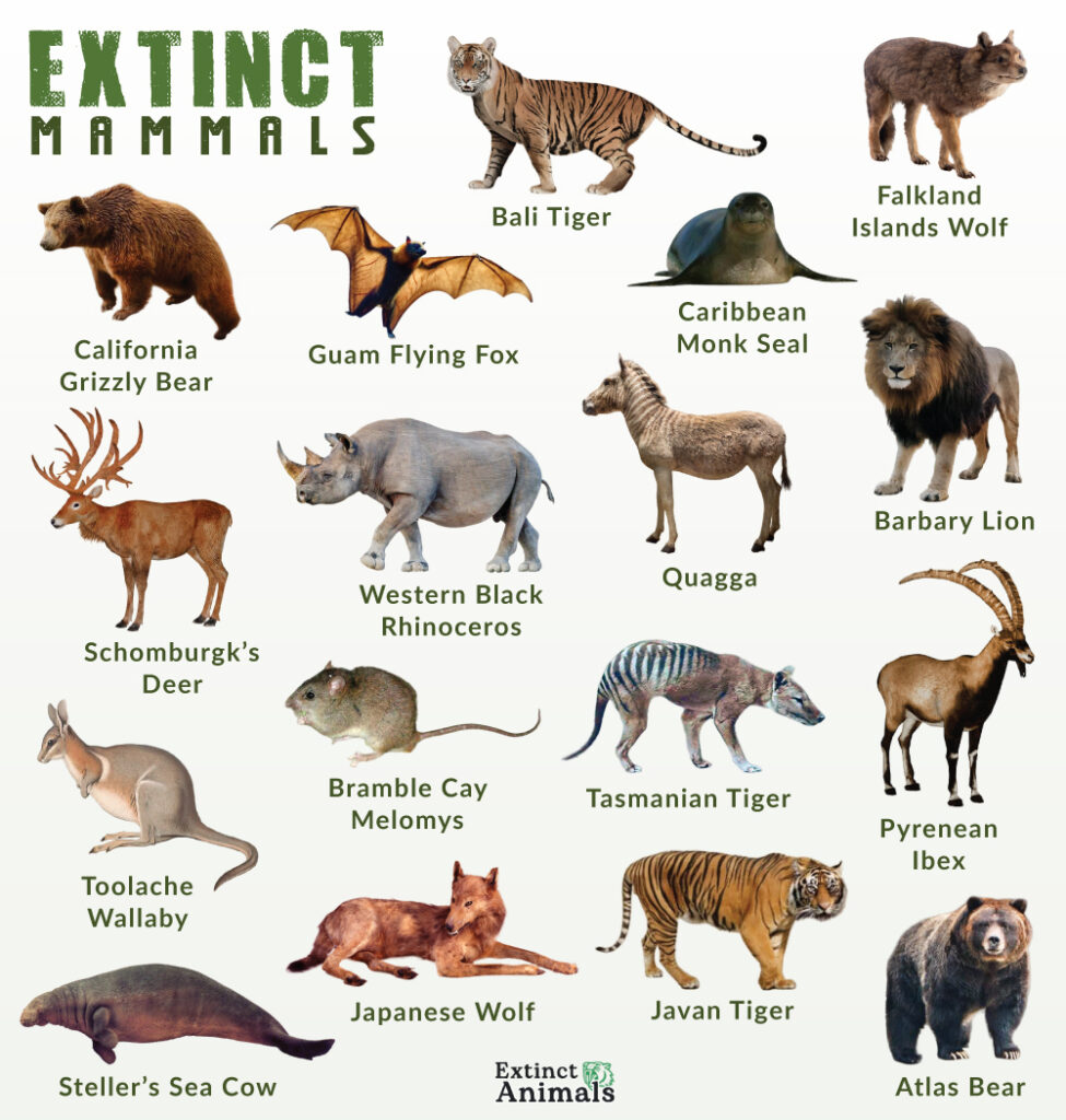 List of Extinct Mammals With Pictures