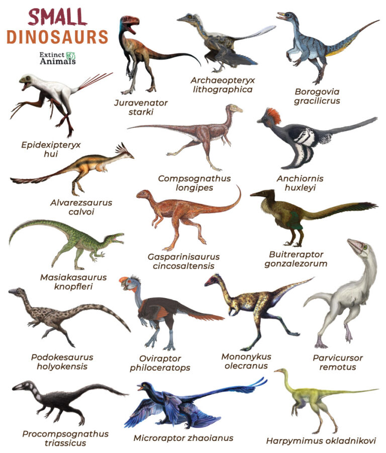 Small Dinosaurs – Facts, List, Pictures